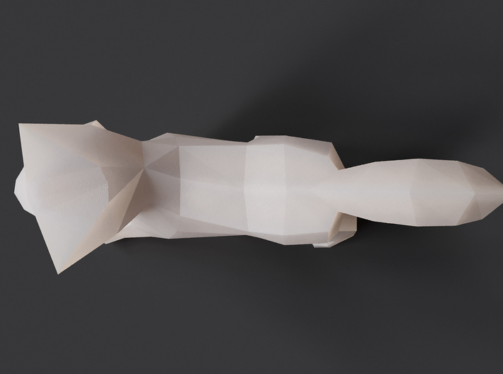 Polygon Kitten Sculpture 3d printed Render of White Strong & Flexible 