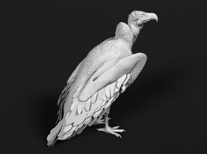 Lappet-Faced Vulture 1:16 Standing 3d printed 