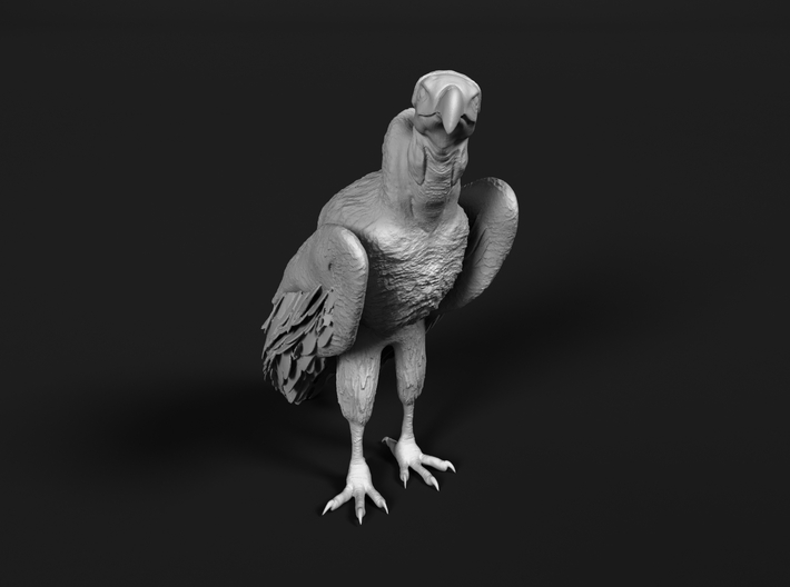 Lappet-Faced Vulture 1:25 Standing 3d printed 