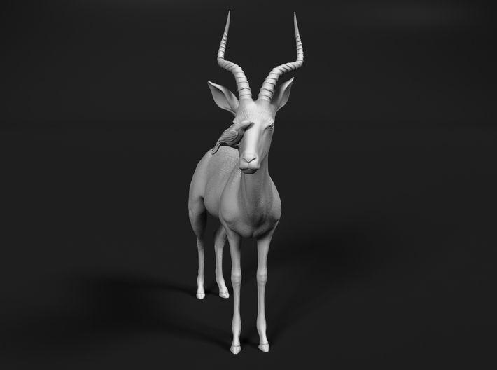 Impala 1:16 Male with Red-Billed Oxpecker 3d printed 