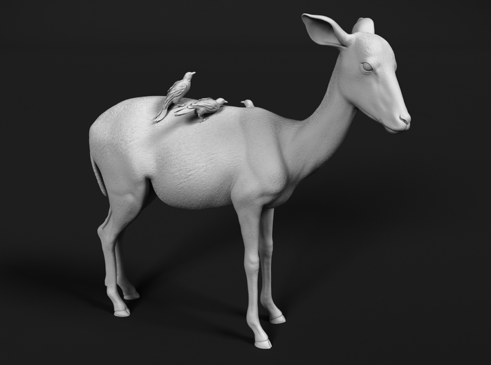 miniNature's 3D printing animals - Update May 20: Finally Hyenas and more - Page 4 710x528_20226347_11627864_1505085916