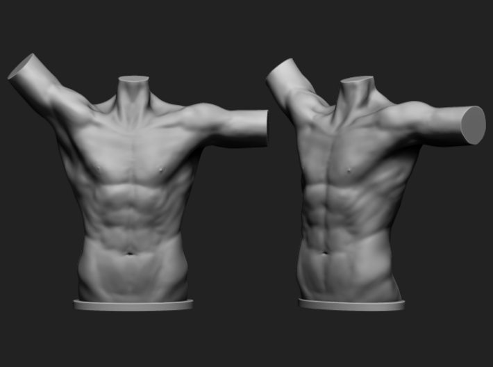 Male torso 3d printed 