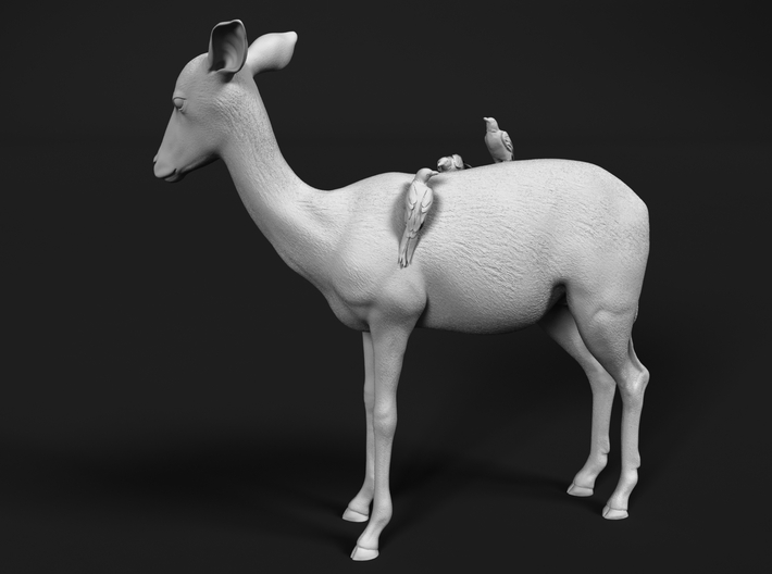 Impala 1:20 Female with Red-Billed Oxpeckers 3d printed