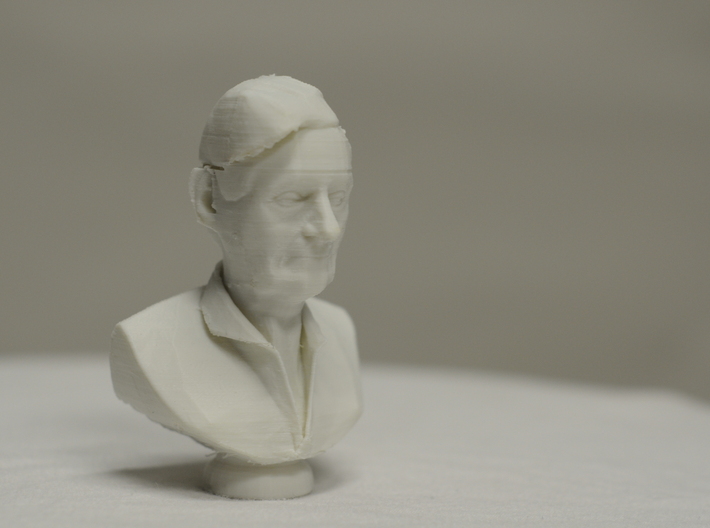 Portrayal of an Experienced Man 3d printed