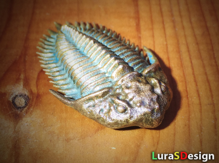 Trilobite Pendant 3d printed Raw Bronze patinated