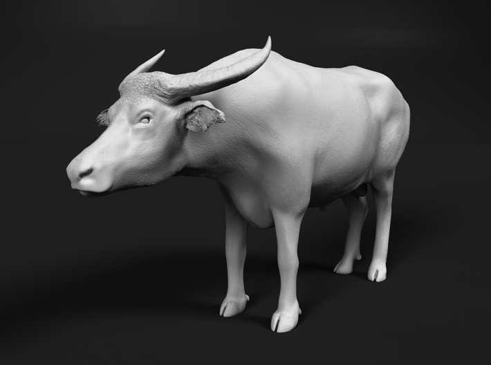 Domestic Asian Water Buffalo 1:20 Standing Male 3d printed