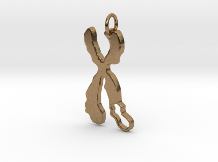 Chromosome Deletion Pendant 3d printed