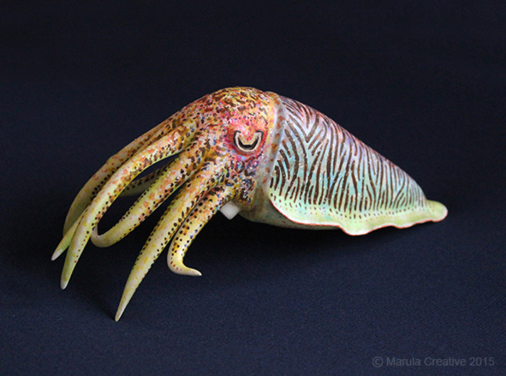 Cuttlefish Statue 3d printed Hand Painted White Strong &amp; Flexible Polished