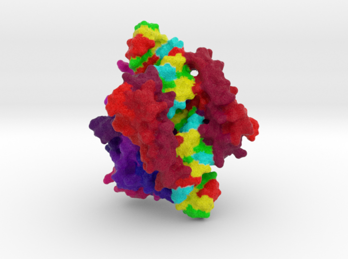 RNase III complexed with dsRNA 3d printed