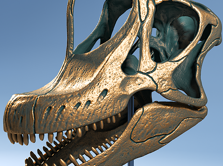 Giraffatitan - dinosaur skull replica 3d printed Modelled from scientific reference