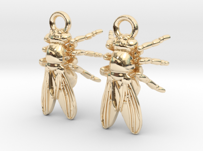 Drosophila Fruit Fly Earrings - Science Jewelry 3d printed