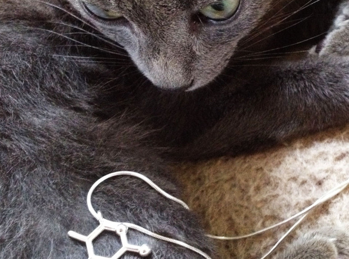 catnip molecule pendant 3d printed catnip pendant in polished silver, cat and chain not included