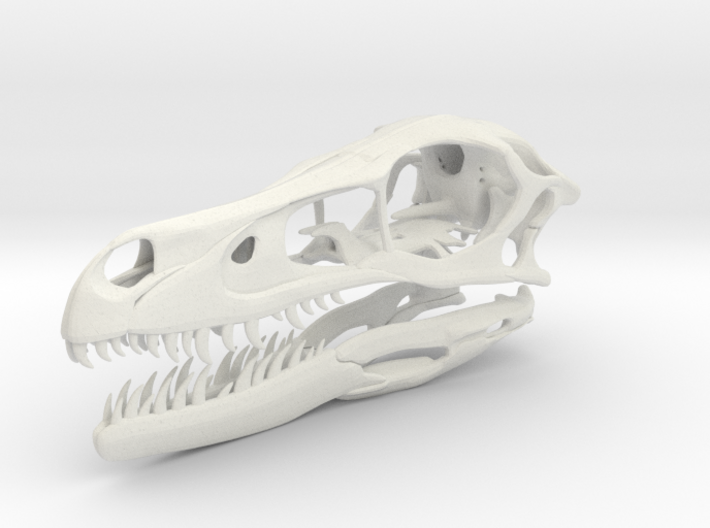 1:2 Velociraptor mongoliensis Skull and Jaw 3d printed