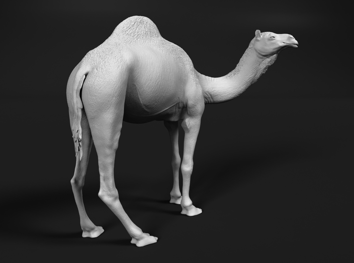 miniNature's 3D printing animals - Update May 20: Finally Hyenas and more - Page 5 710x528_21403855_12088670_1512512283