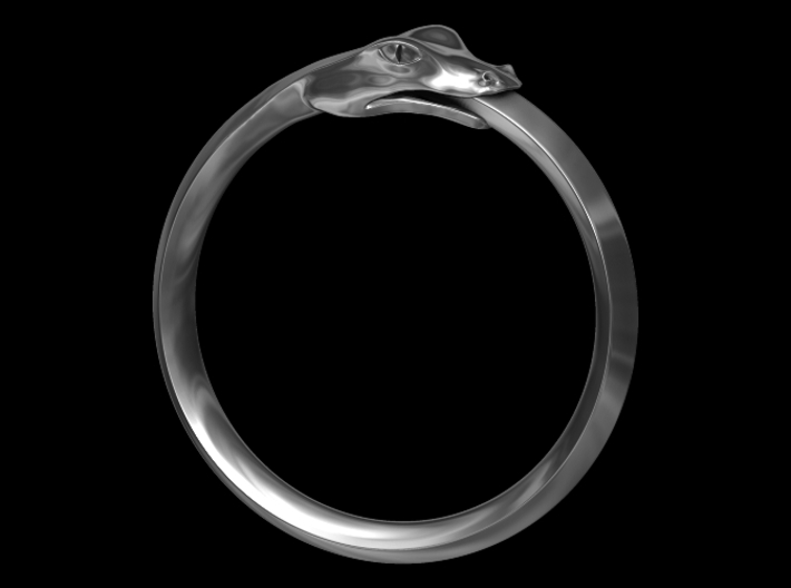 Ouroboros Ring 3d printed Computer Generated Image