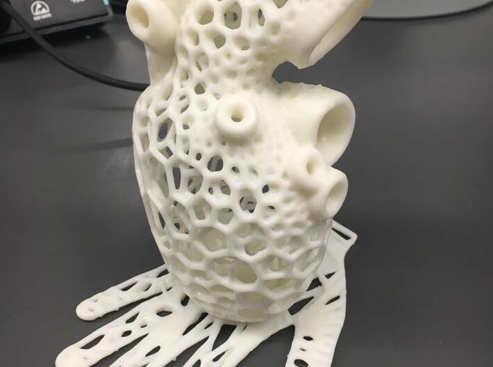 Anatomic Heart Candle Holder 3d printed 
