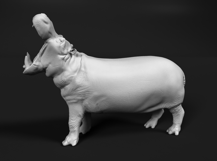 Hippopotamus 1:96 Male with Open Mouth 3d printed