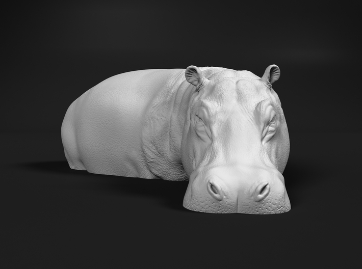 Hippopotamus 1:96 Standing in Water 3d printed