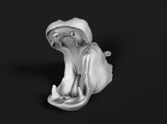 Hippopotamus 1:22 Mouth Open in Water 1 3d printed 