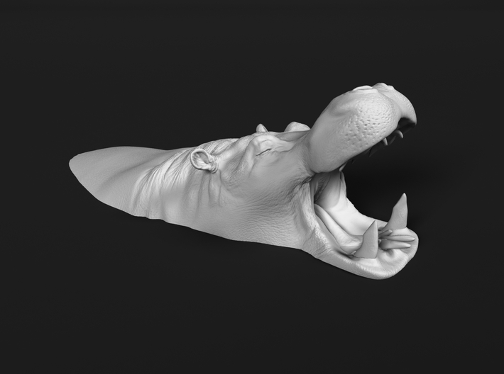 Hippopotamus 1:12 Mouth Open in Water 2 3d printed