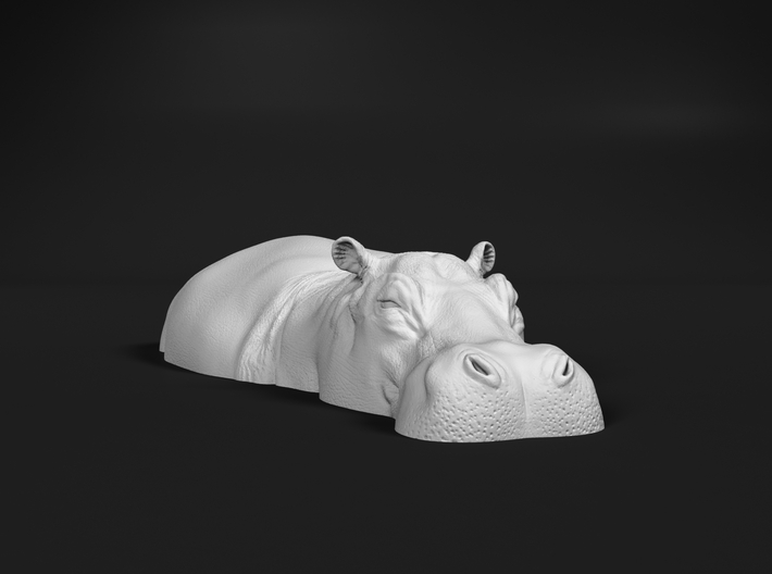 Hippopotamus 1:45 Lying in Water 2 3d printed