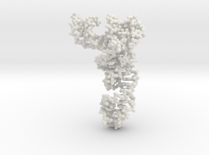 tRNA-Phe small 3d printed