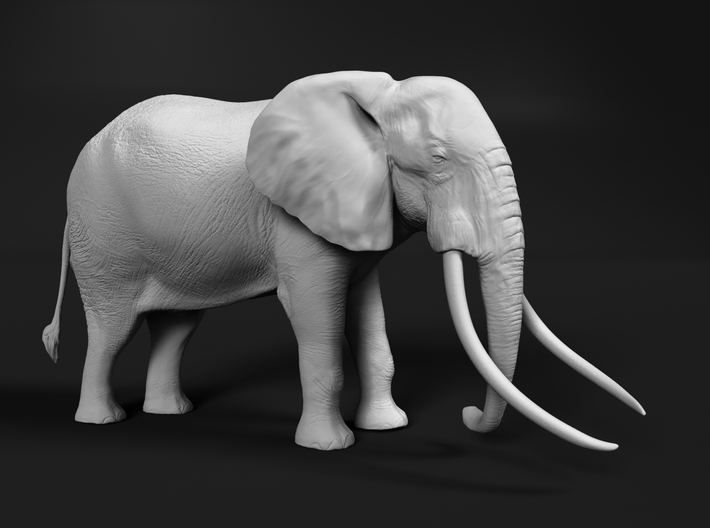 African Bush Elephant 1:45 Tusker Bull Satao 3d printed
