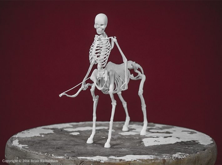 Centaur Skeleton 3d printed