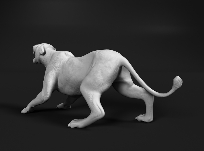 Lion 1:20 Aggressive Lioness 3d printed 