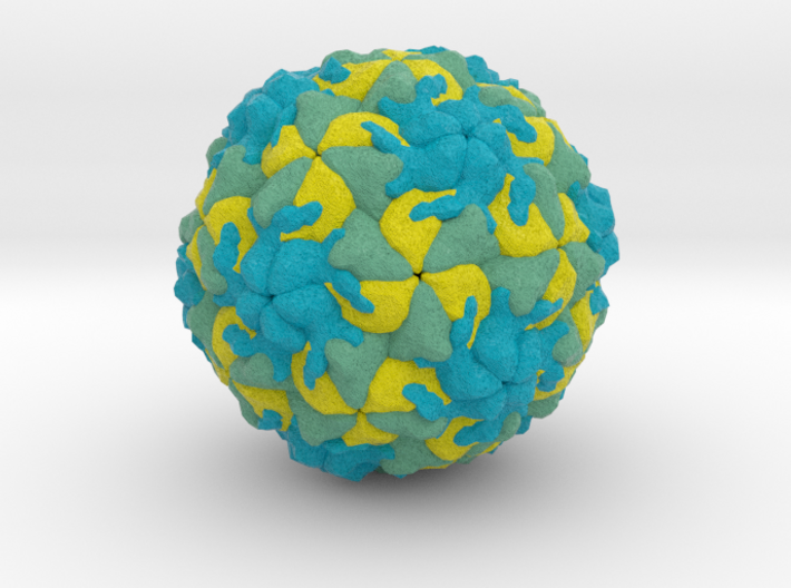 Rhinovirus Serotype 16 3d printed