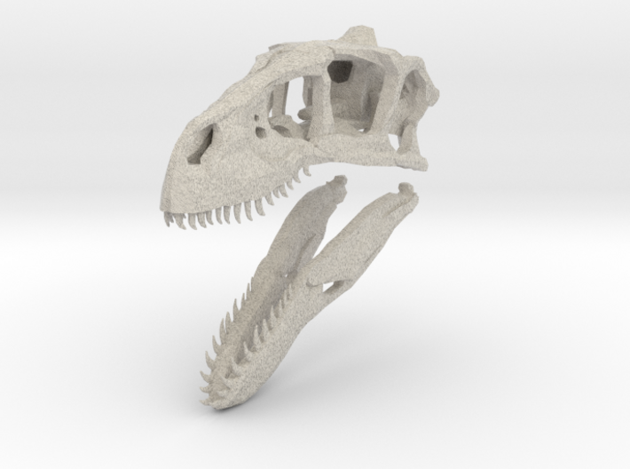 1:35 Utahraptor skull 3d printed
