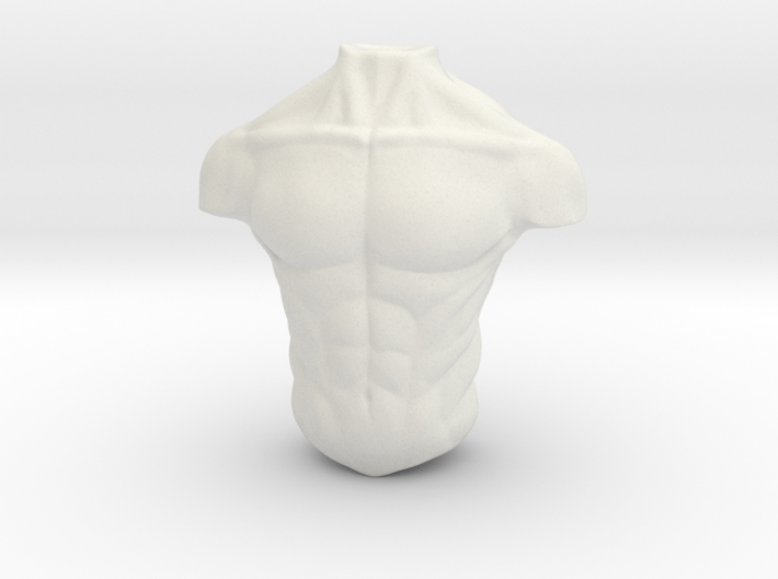 3D Male torso 3d printed