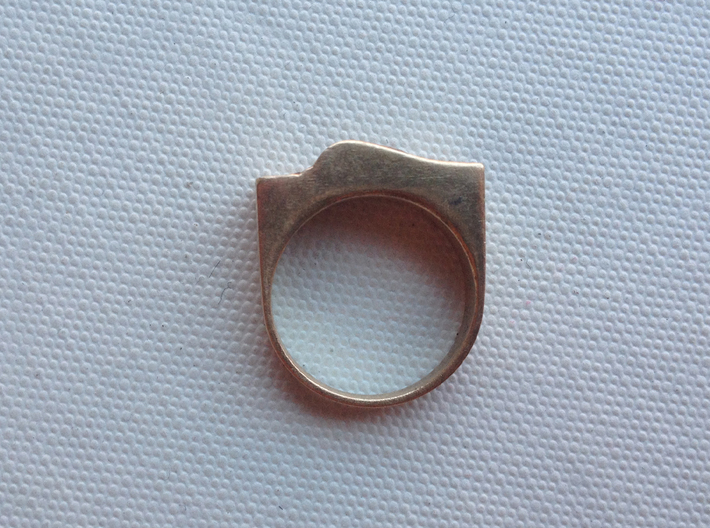 Spirit Of the Wind Ring 3d printed Raw Bronze