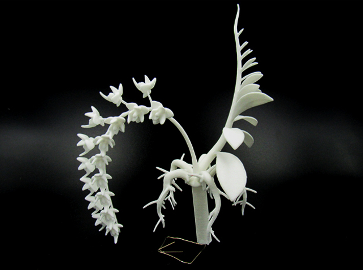 Bloom'n Neko - A Maneki Neko Planter & Orchid 180m 3d printed 