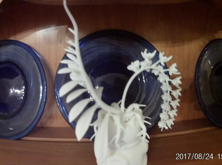 Imperial Moth Orchid for 10cm Maneki Neko Planter 3d printed 
