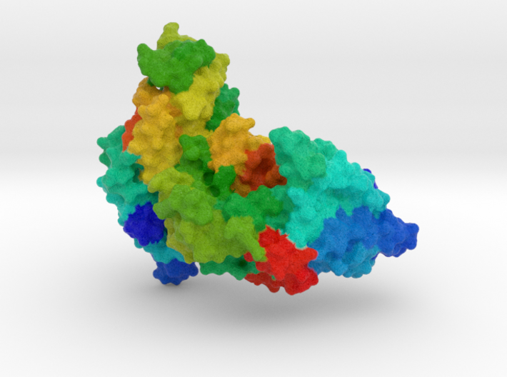 Cysteinyl-tRNA Synthetase 3d printed