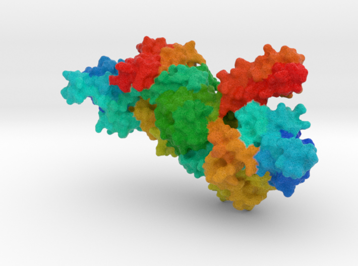 Tryptophanyl-tRNA Synthetase 3d printed