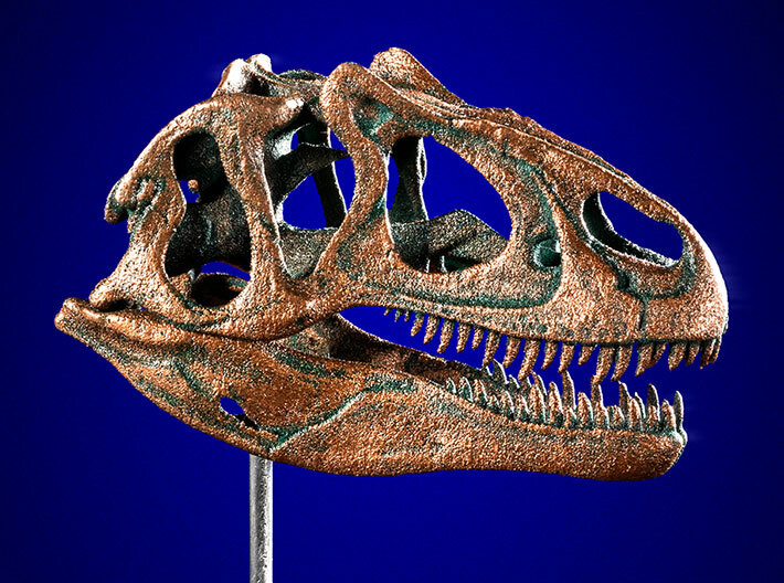 Allosaurus - dinosaur skull replica 3d printed Model with added paint finish