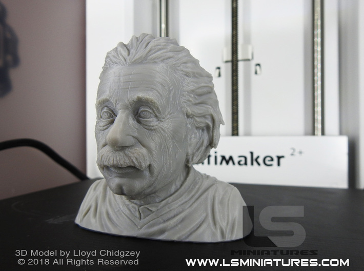 Albert Einstein Bust 3d printed 