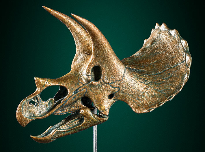 Triceratops skull - dinosaur model 3d printed Correct proportions
