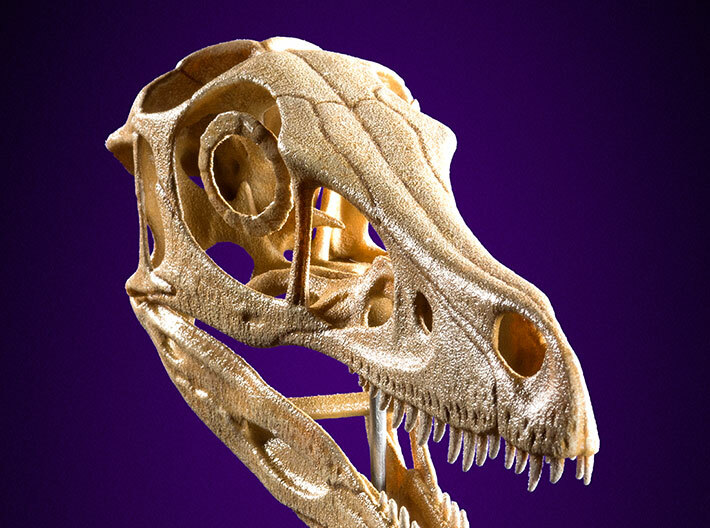 Velociraptor - dinosaur skull replica 3d printed Product photo