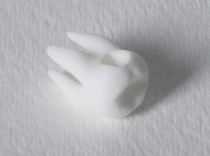 Tooth Charm / Pendant 3d printed WSF