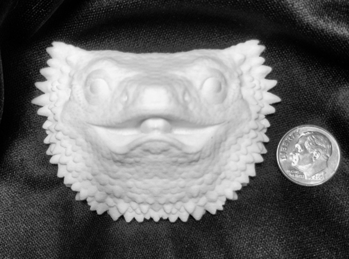Bearded Dragon Bust | Blank for DIY Painting 3d printed Dime for scale