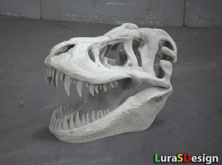 Tyrannosaurus Dinosaur Skull - T-Rex 3d printed