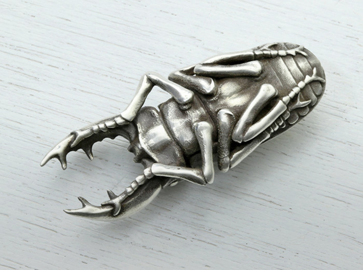 Large Silver Stag Beetle 3d printed