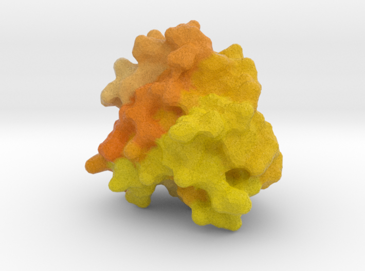 Photoactive Yellow Protein 3d printed