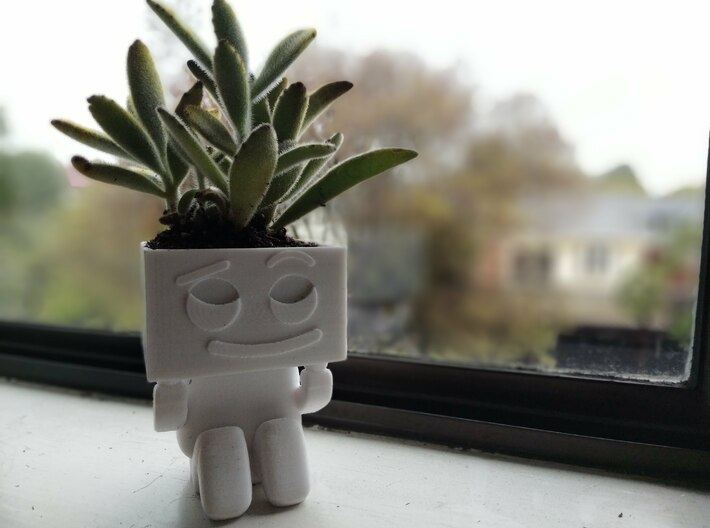 Robot Planter 3Dylan 3d printed 