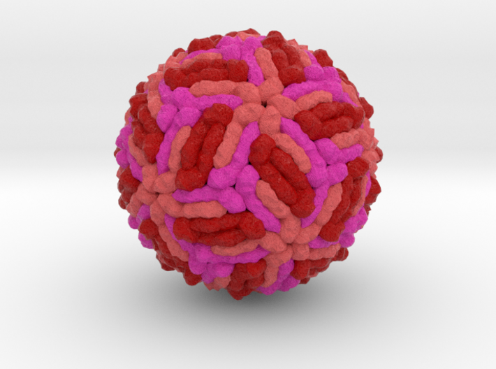 West Nile Virus 3d printed
