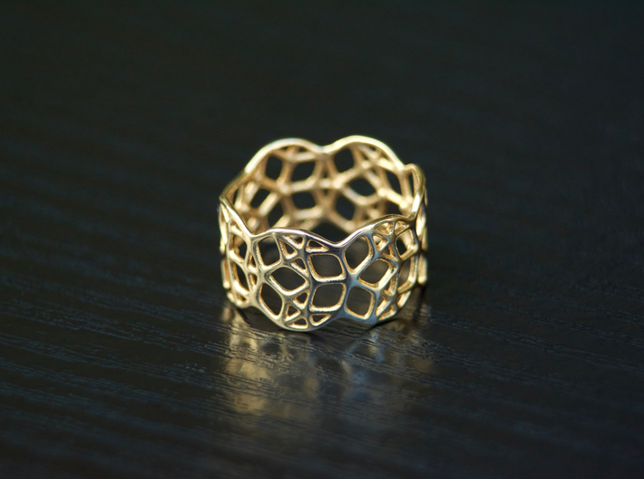 Penrose Ring, Size 7 3d printed Polished Bronze