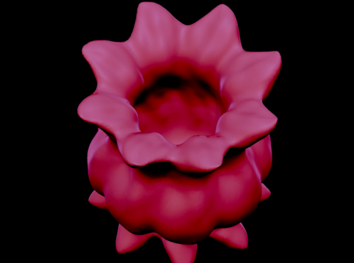 Flower Sculpt 3d printed angle view